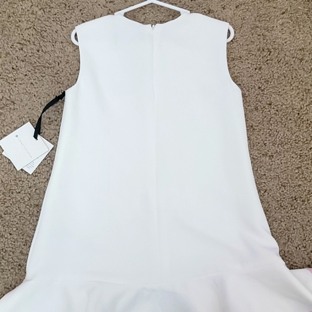 Victoria Beckman for Target girls dress - Picture 3 of 4